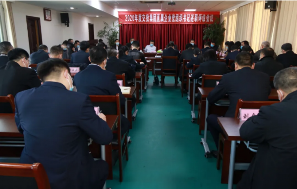 tqb谈球吧召开2020年度直属企业党组织书记履行全面从严治党责任和抓基