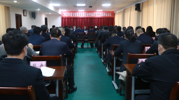 tqb谈球吧召开2022年度基层党组织书记从严治党述责述廉和抓基层党建工作述职
